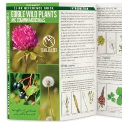 Edible Wild Plants And Common Medicinals Folding Guide