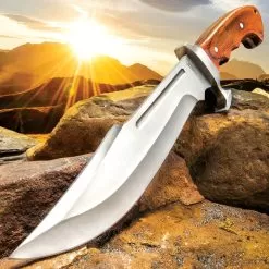 Ridge Runner Woodland Reverie Bowie / Fixed Blade Knife - Stainless Steel, Full Tang - Genuine Zebrawood - Nylon Sheath - Collecting, Field Use, Display And More - 13 1/4"