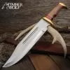 Timber Wolf Canberra Bowie Knife And Sheath - Stainless Steel Blade, Wooden Handle, Brass Pommel And Guard - Length 17”