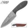 Timber Wolf River Bottom Knife With Sheath - Damascus Steel Blade, Fileworked Spine, Pakkawood Handle Scales - Length 9”