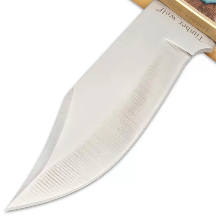 Timber Wolf Rainbow Knife And Sheath - Stainless Steel Blade, Pakkawood Handle Scales, Brass Guard - Length 10 3/4β - Image 3