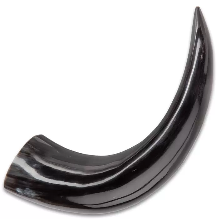 Buffalo Drinking And Display Horn - Crafted Of Genuine Horn, High-Polished Ebony Sheen - Length 12 1/2β - Image 3