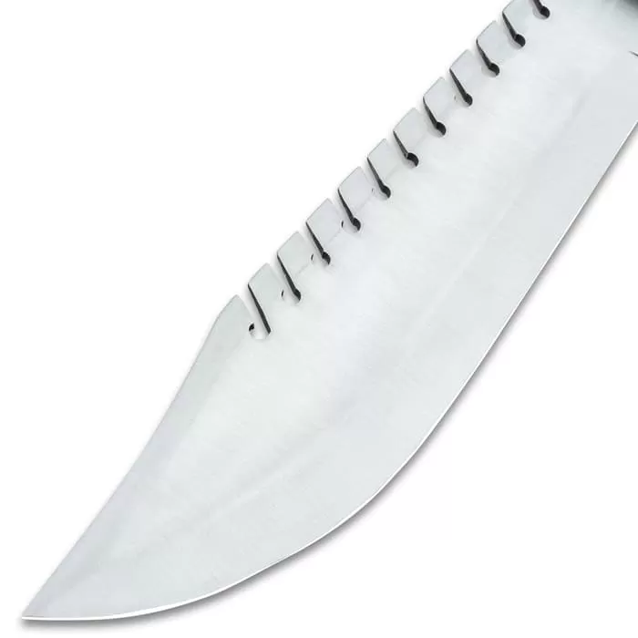 Timber Wolf Jagged Edge Knife And Sheath - Stainless Steel Blade, Wooden Handle, Lanyard Hole - Length 15 1/2" - Image 4